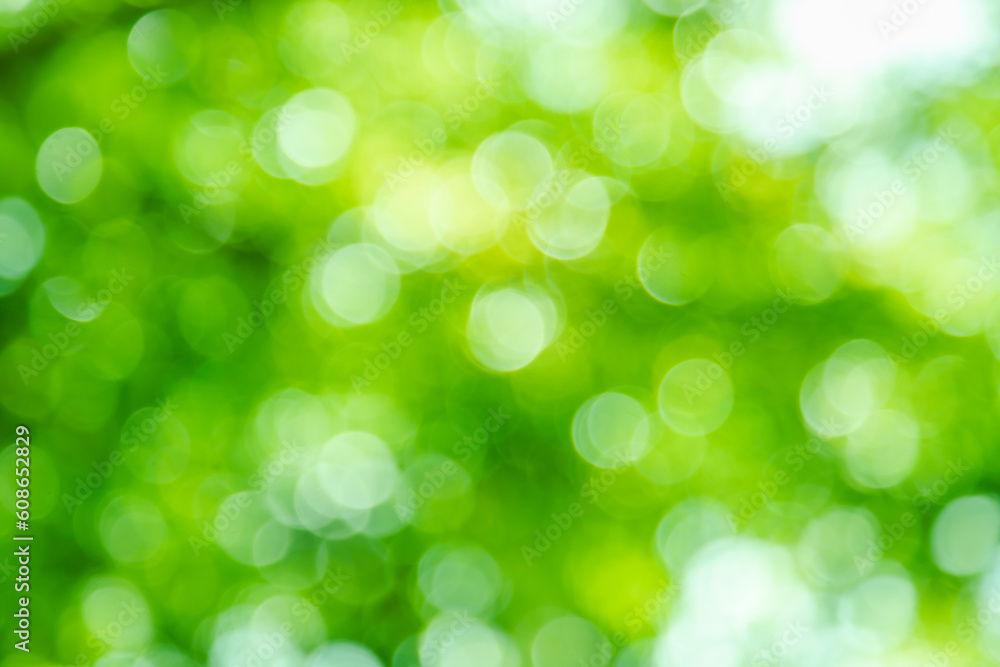 Green color bokeh, Green bacground, Blurred nature bokeh ure for the background Green color bokeh, Green bacground, Blurred nature bokeh ure for the background
