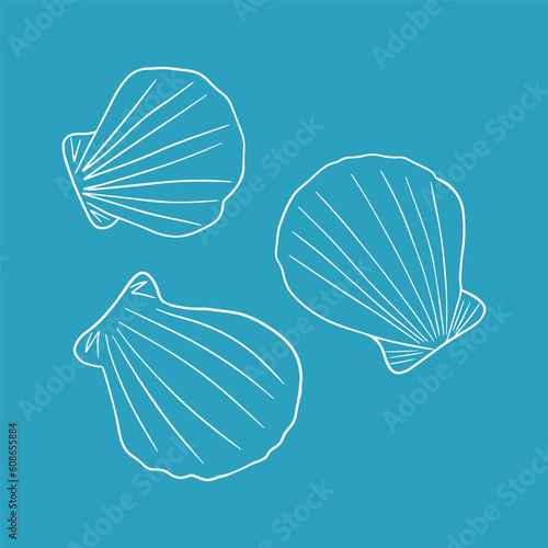 Doodle Seashells Set. Hand drawn seashells isolated vector illustration. Outline sea life items. Perfect for invitations  fabric  textile  linens  posters  prints  banners