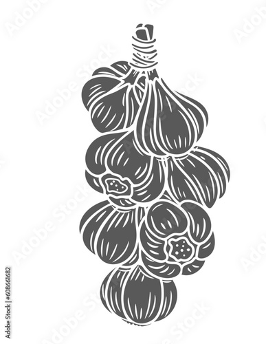 Bundle of garlic heads glyph icon vector illustration. Stamp of whole garlic bulbs hanging together, organic vegetables braid tied with rope for storage in kitchen, agriculture autumn harvest