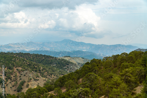 View of the lush forest surrounding mount Olympus, Cyprus.