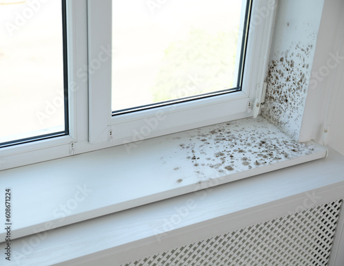 Window sill and slope affected with mold in room