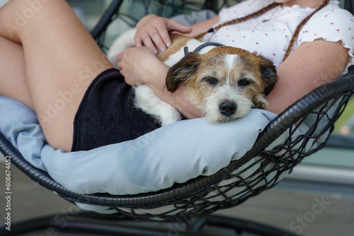Ein kleiner Terrier Hund schläft in den Armen einer jungen Frau in einem Hängesessel. Sommer, Freundschaft.