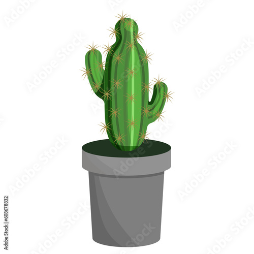 Cactus with thorns in a flower pot, isolated on a white background.Vector illustration of an exotic plant.