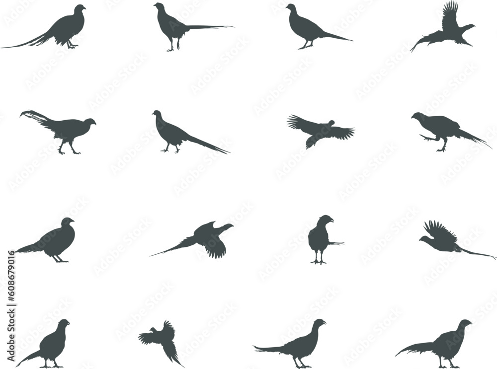 Pheasant silhouette, Flying pheasant silhouette, Pheasant SVG, Pheasant