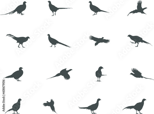 Pheasant silhouette, Flying pheasant silhouette, Pheasant SVG, Pheasant silhouette clip art, Bird silhouettes, Bird SVG, Bird clip art. photo