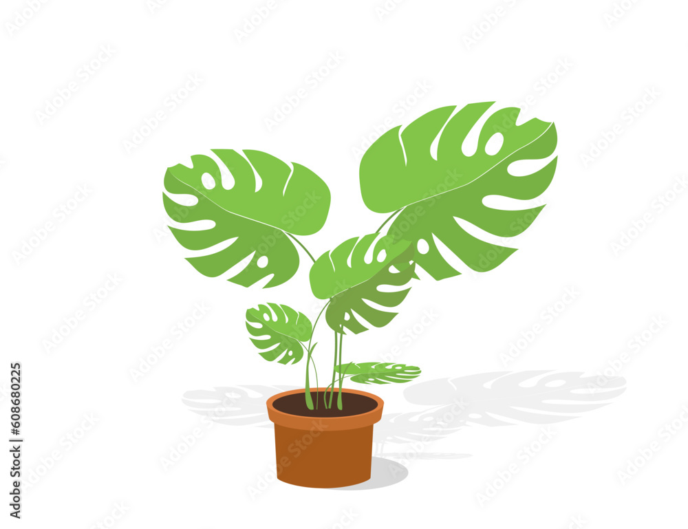Office tree (flower) in a pot. Interior, home comfort. Monstera. Vector icon. Office tree (flower) in a pot. Interior, home comfort. Monstera. Vector icon.
