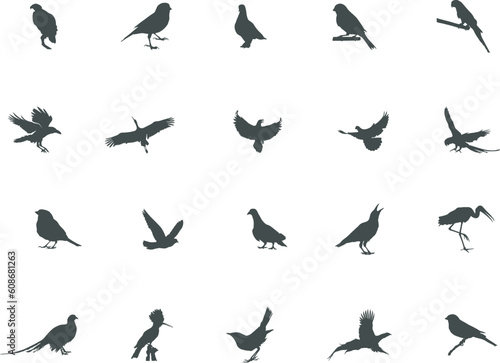 Bird silhouette, Flying bird silhouette, Bird silhouettes, Bird clipart, Birds SVG, Bird vector set, Bird icon, Vector elements. © DesignLands 
