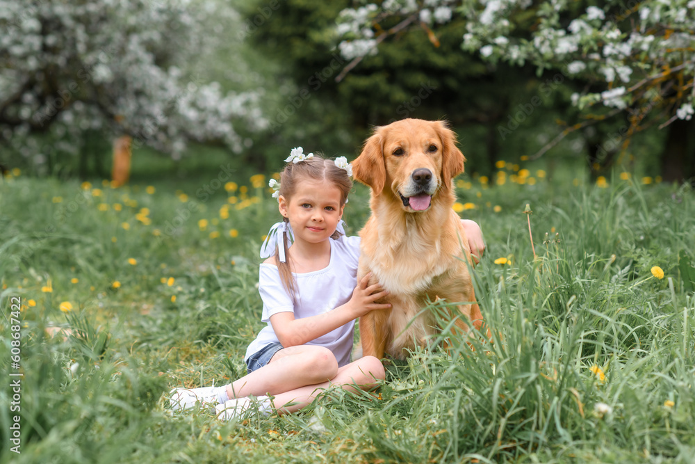 a little caucasian beautiful girl in denim shorts and a white t-shirt sits and hugs a dog golden retriever labrador in flowering gardens in the park. The dog is man's best friend.