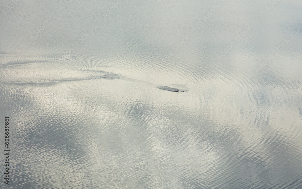 Reflection of sky and clouds on water surface. Abstract background Reflection of sky and clouds on water surface. Abstract background