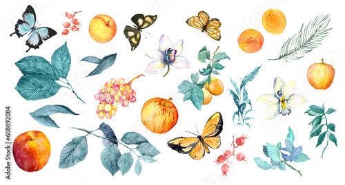 Set with exotic butterlies, summer fruits, tropical leaves, garden plants. Watercolor collection, vintage illustrations bundle