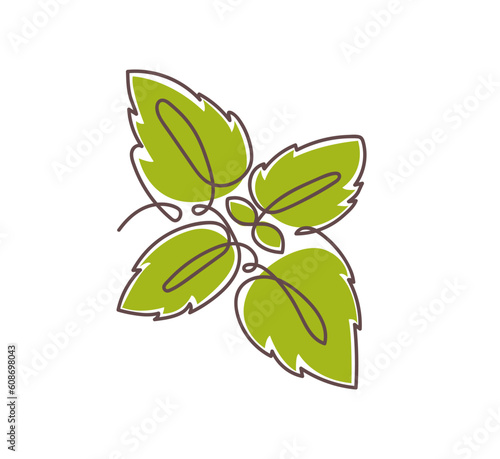 Green basil one continuous line drawing art. Vector illustration isolated on white background