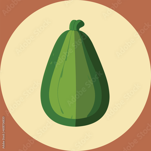 Vector illustration of fresh and juicy zucchini