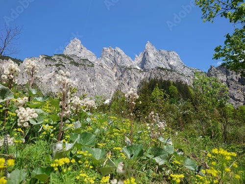 Blick auf die Grundübelhörner photo