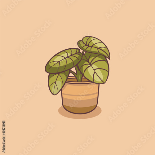 beautiful Monstera siltepecana make people still life illustration photo