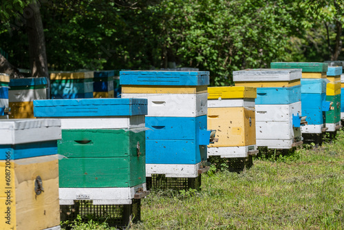 Many set of wooden beehive in the spring garden in the apiary to collect honey. Row of colorful beehives on a small enclosed area © OlegD