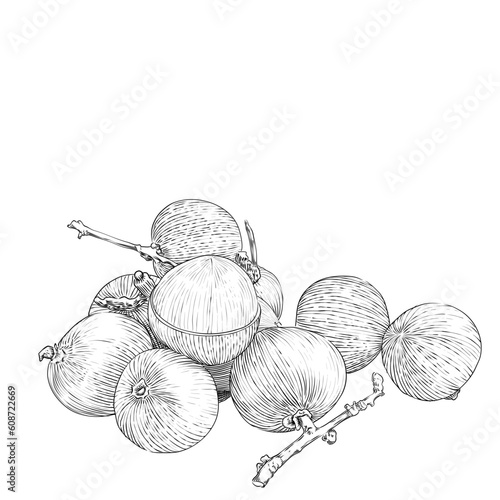 china fruit