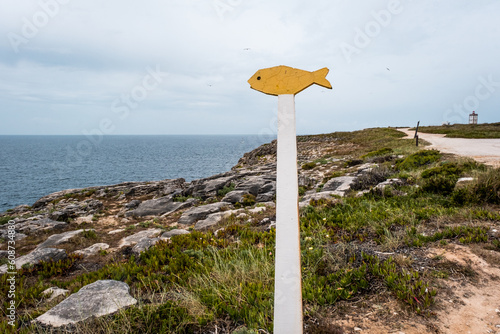 Landscape of the green grass and the blue sky and ocean with a sign of a fish near the sea. Coastline with a northern vibe in the Iberian Peninsula.