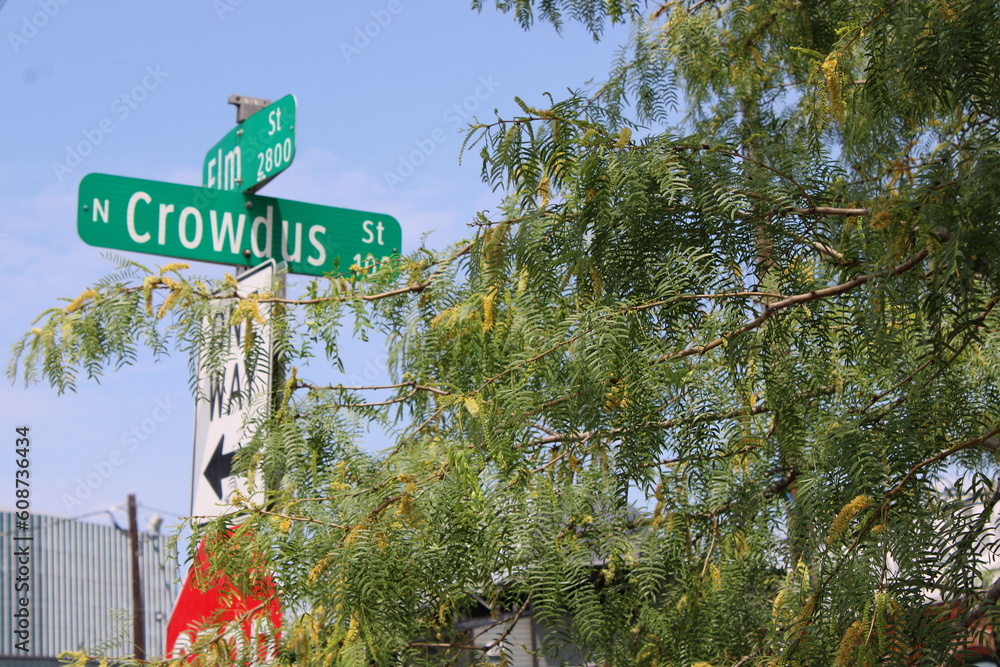 Obraz premium Crowdus Street celebrated Deep Ellum's 150th anniversary with a community supported down-sized festival.