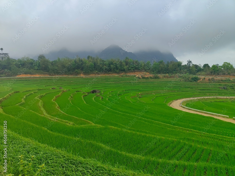 Fototapeta premium Mountains of Vietnam