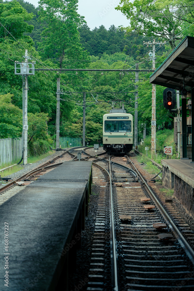 Naklejka premium 新緑