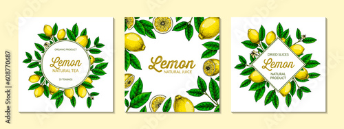 Square lemon background. Hand drawn colorful vector illustration in sketch stile. Design for packaging, logo, invitation, greeting cards