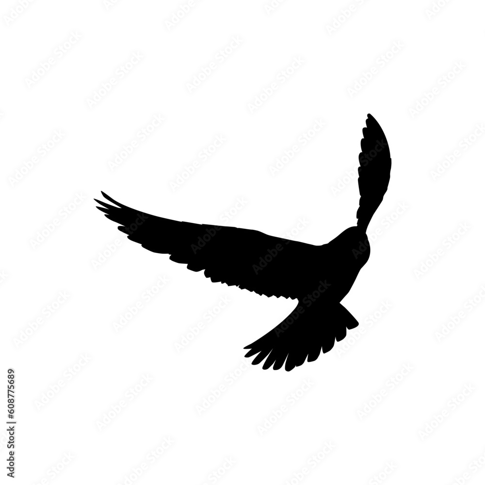 Silhouette of the Flying Bird of Prey, Falcon or Hawk, for Logo, Pictogram, Website, Art Illustration, or Graphic Design Element. Vector Illustration Silhouette of the Flying Bird of Prey, Falcon or Hawk, for Logo, Pictogram, Website, Art Illustration, or Graphic Design Element. Vector Illustration