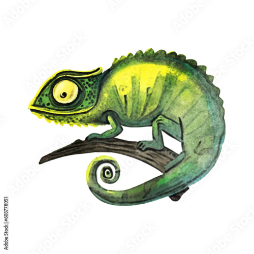 Chameleon Green Watercolor Illustration