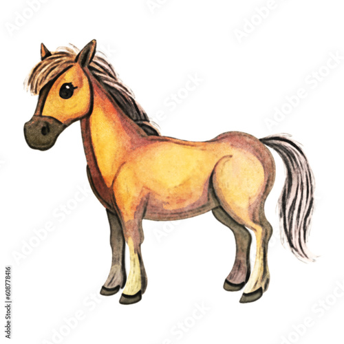 Horse Watercolor Illustration