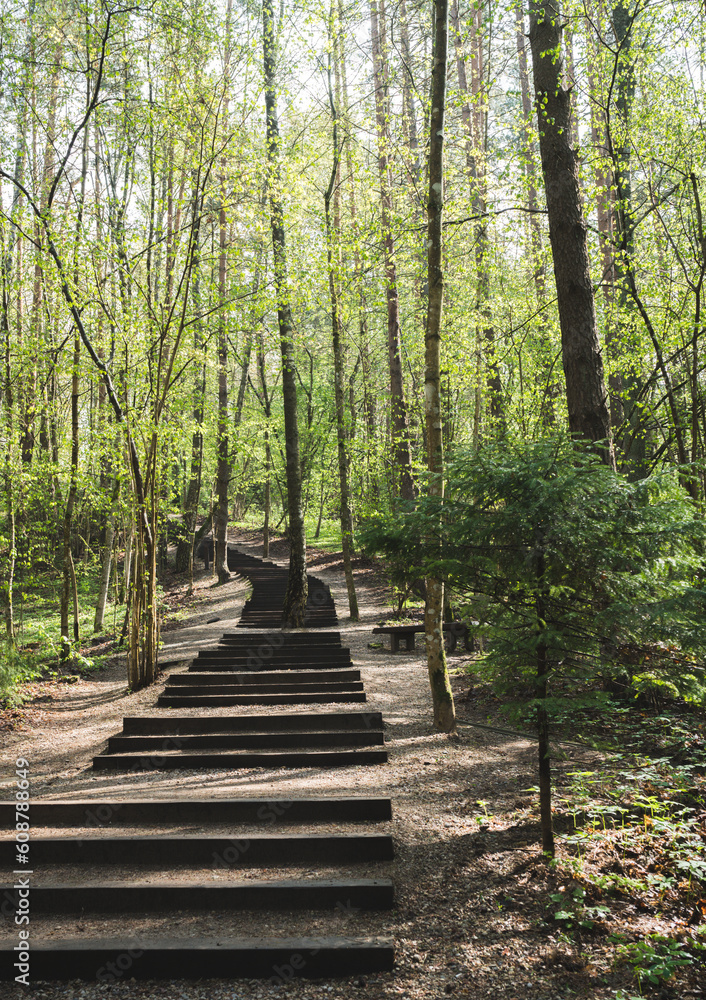 Pedestrian walking path in the forest; spring, the leaves are turning. Pedestrian walking path in the forest; spring, the leaves are turning.