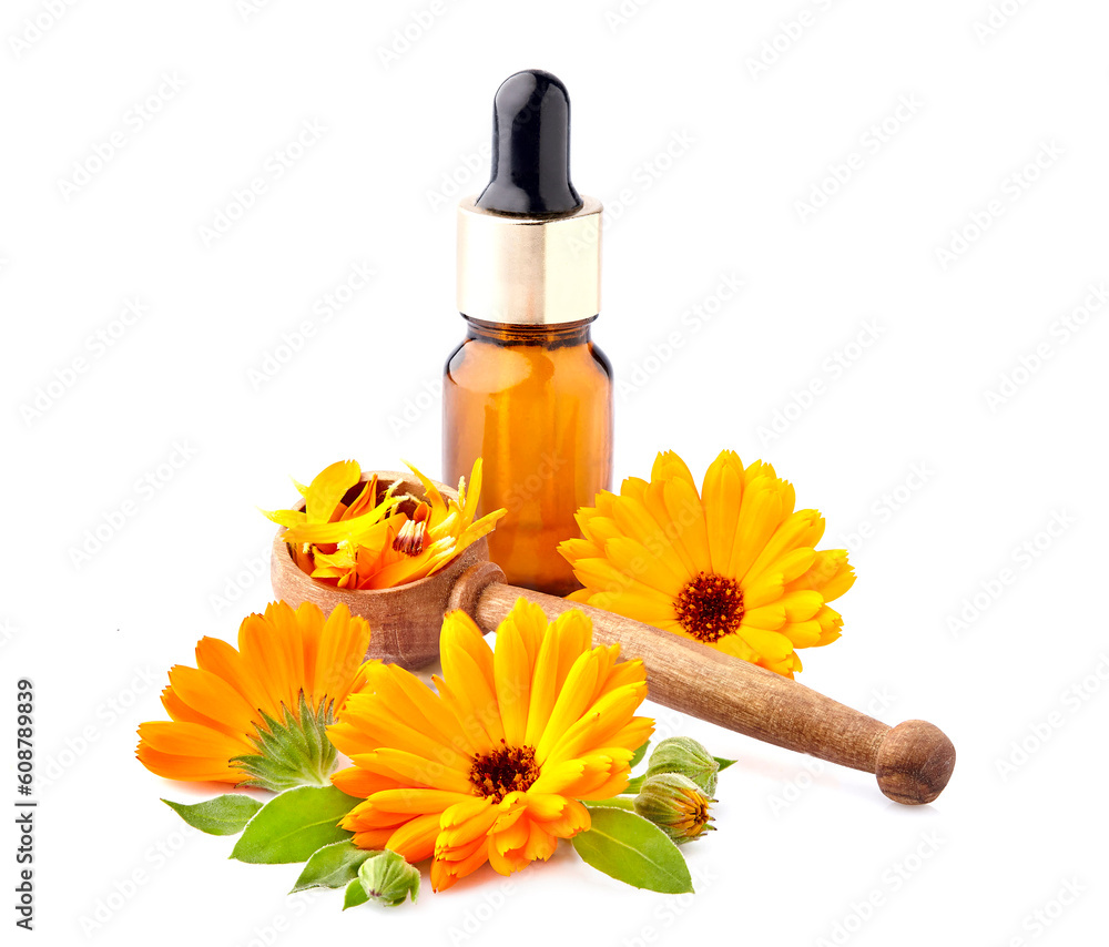 Calendula oil with flowers. Bouquet of marigold with essence oil. Calendula oil with flowers. Bouquet of marigold with essence oil.