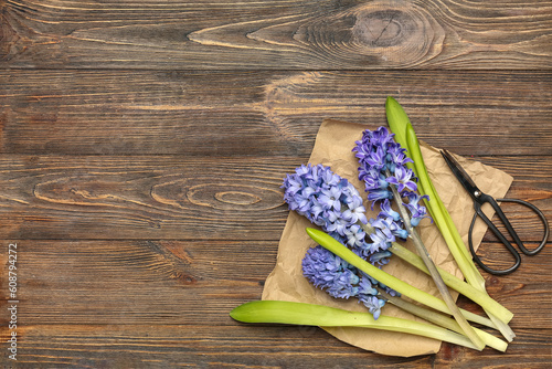 Beautiful hyacinth flowers ...