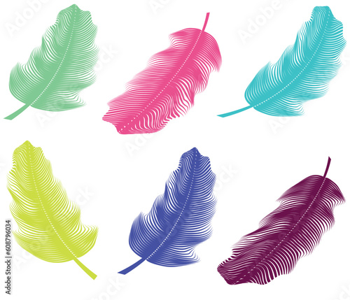 Vector illustration of bird feathers on white background 