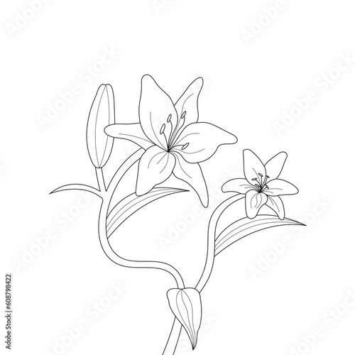 Lily Vector Vintage Botanical Flower Bouquet Vector