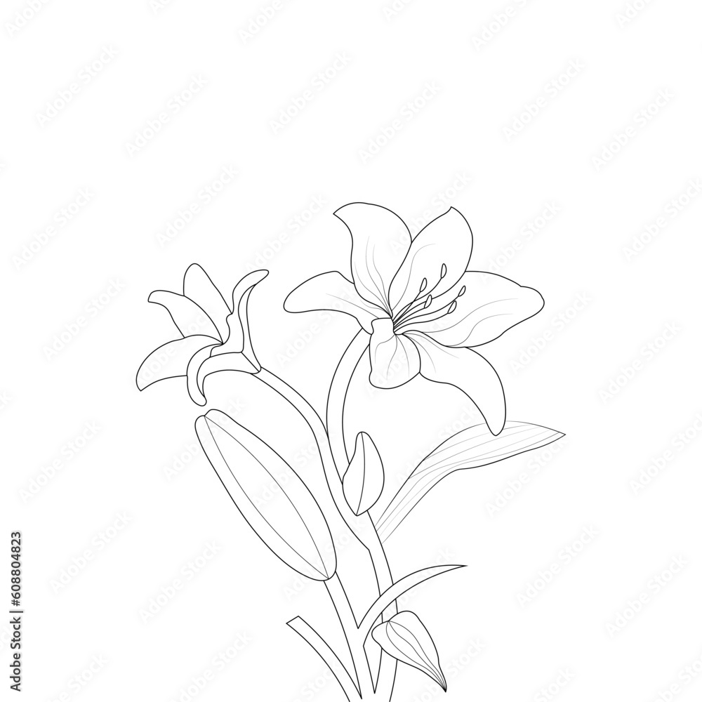 Lily Flower Coloring page Hand Drawn illustration With Line Art Stock ...