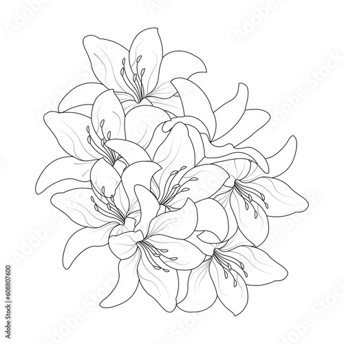 Lily Flower Coloring page Hand Drawn illustration With Line Art