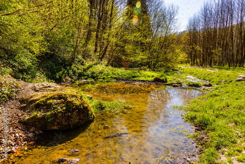 Bedkowska Valley nature park and reserve along Bedkowka creek in spring season within Jura Krakowsko-Czestochowska Jurassic upland near Cracow in Lesser Poland