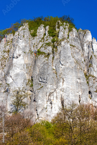 Sokolica limestone rock with free climbers in Bedkowska Valley within Jura Krakowsko-Czestochowska upland near Cracow in Lesser Poland photo