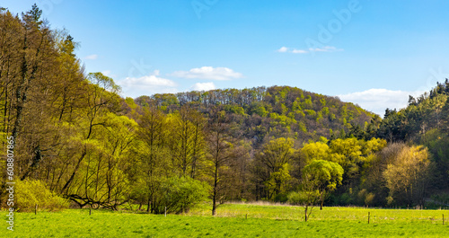 Fototapeta Naklejka Na Ścianę i Meble -  Bedkowska Valley nature park and reserve along Bedkowka creek in spring season within Jura Krakowsko-Czestochowska Jurassic upland near Cracow in Lesser Poland