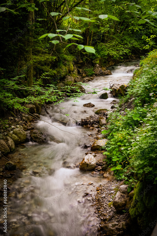 View of a creek cascading downhill through the rugged wilderness of the scenic Dr. Vogelgesang-Klamm gorge in Spital am Pyhrn, Austria View of a creek cascading downhill through the rugged wilderness of the scenic Dr. Vogelgesang-Klamm gorge in Spital am Pyhrn, Austria