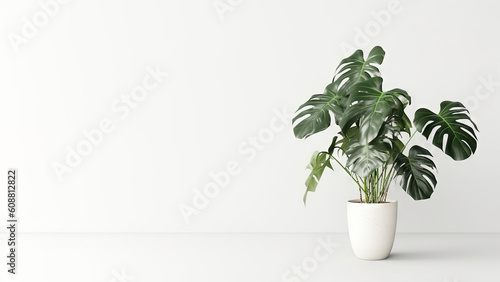 Monstera tree in pot on white background with copy space (Generative AI)