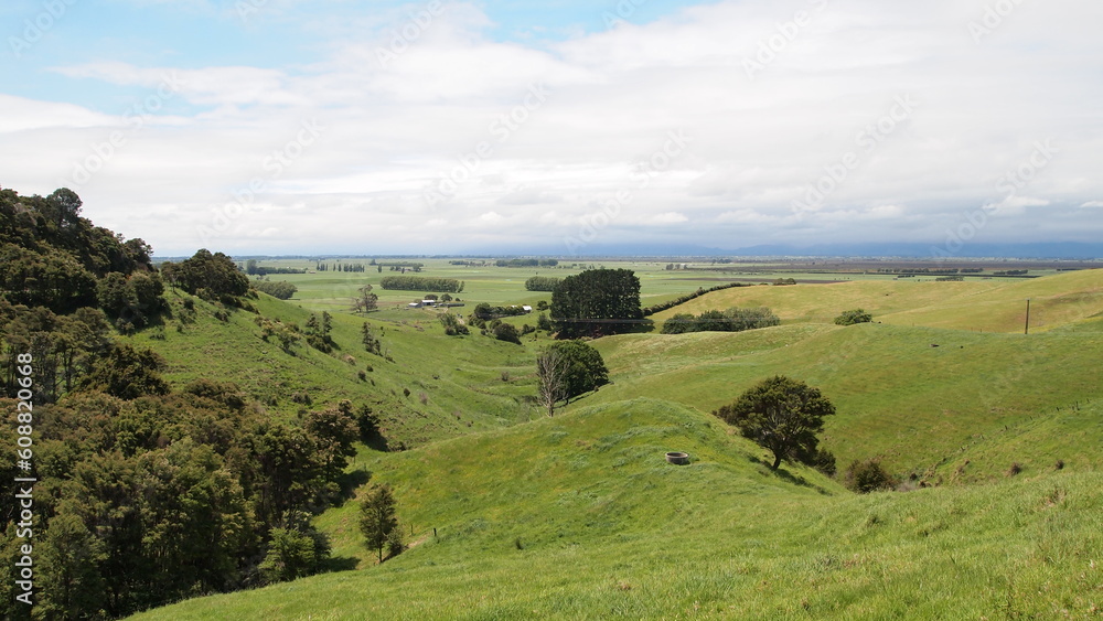 Beautiful green rolling hills in New Zealand