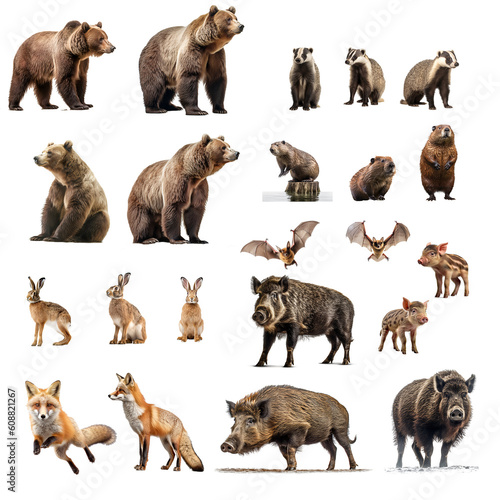 Set of forest animals isolated on the transparent background PNG. AI generative. 
