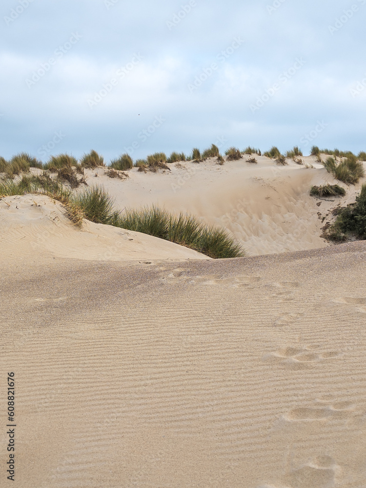 Natur pur in Nieuw Haamstede - Zeeland Natur pur in Nieuw Haamstede - Zeeland