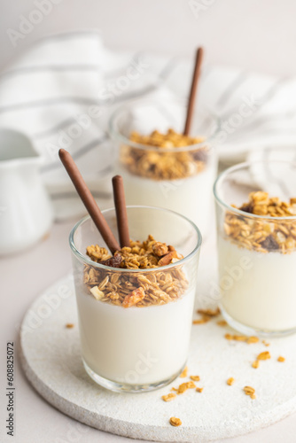 blancmange in a glass with nuts and oats - Muhallebi photo