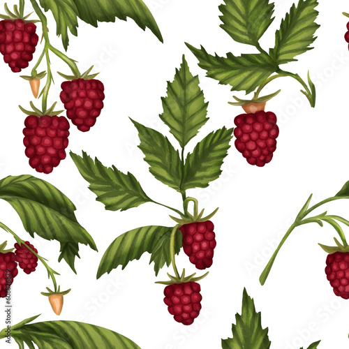 Seamless pattern of raspberry berries bushes with the leaves 