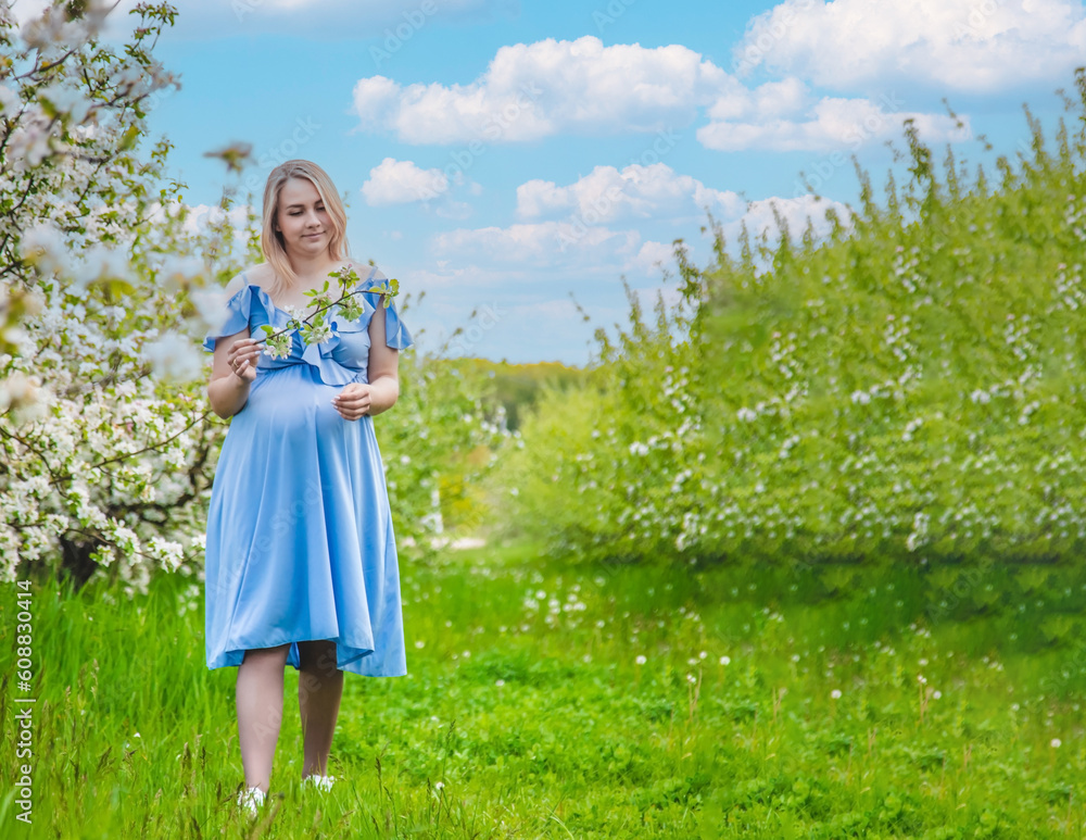 Pregnant woman in the garden of flowering apple trees. Selective focus. Pregnant woman in the garden of flowering apple trees. Selective focus.