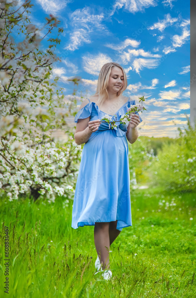 Pregnant woman in the garden of flowering apple trees. Selective focus. Pregnant woman in the garden of flowering apple trees. Selective focus.