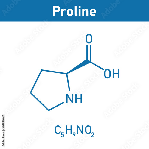 Chemical structure of proline (C5H9NO2). Chemical resources for teachers and students. Vector illustration. photo