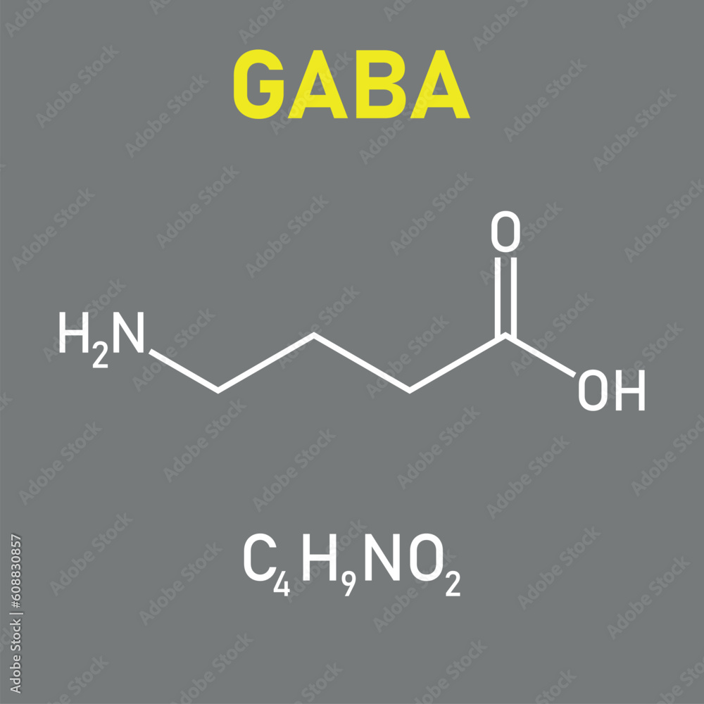 gabapentin vs gaba aminobutyric acid