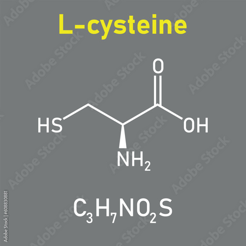 Chemical structure of L-cysteine (C3H7NO2S). Chemical resources for teachers and students. Vector illustration isolated on white background.
